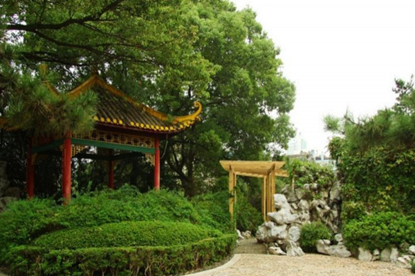 如何讓土地“變肥”，讓樹苗“夠吃”？