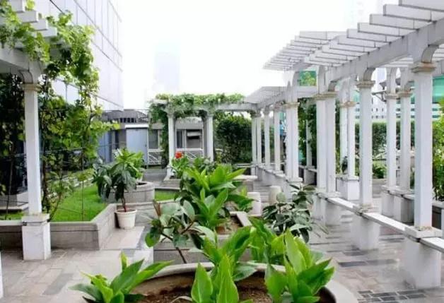 湖北凱蒂園林告訴你園林綠化工程主要包含哪些內(nèi)容？