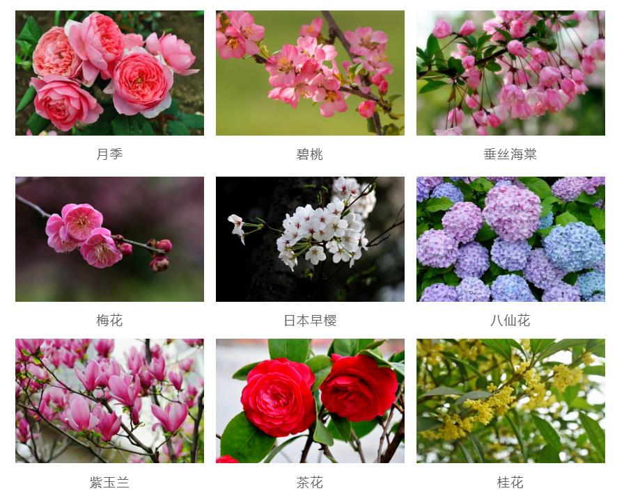 園林景觀工程如何節(jié)約成本？