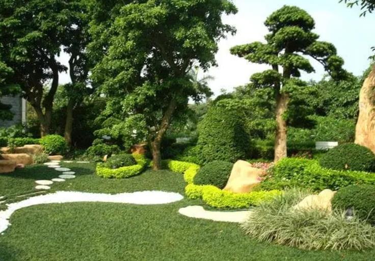園林景觀設(shè)計之植物墻設(shè)計在哪些地方適合？